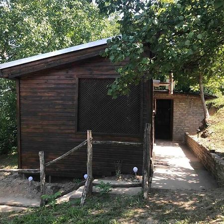 Odmor Za Dusu I Tijelo U Srcu Prirode Vila Aljmaš Exterior foto