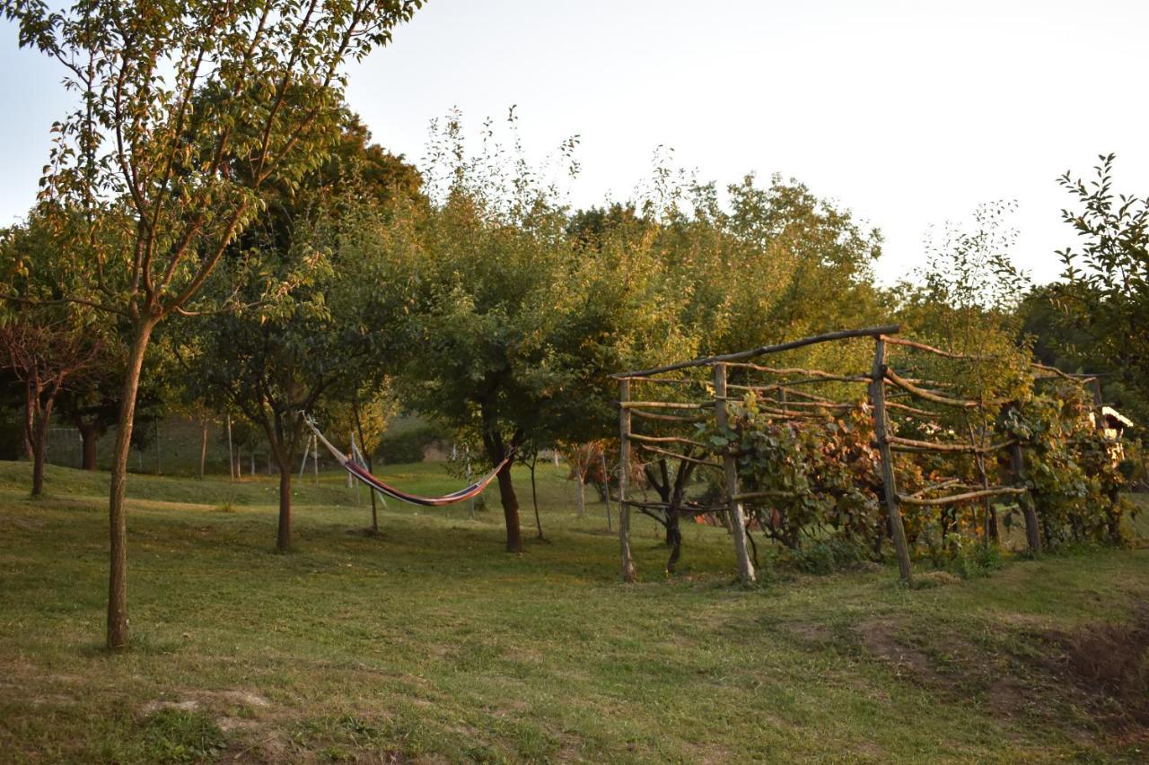 Odmor Za Dusu I Tijelo U Srcu Prirode Vila Aljmaš Exterior foto