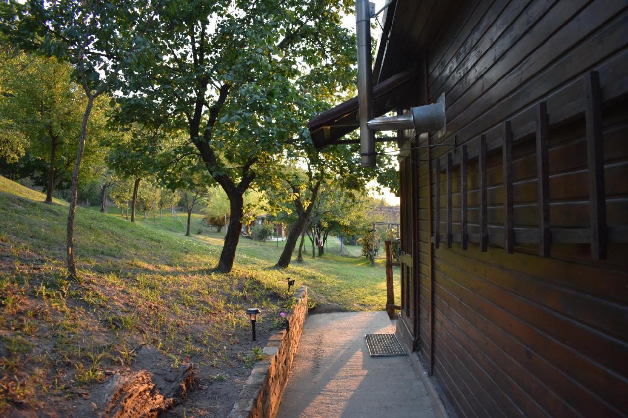 Odmor Za Dusu I Tijelo U Srcu Prirode Vila Aljmaš Exterior foto