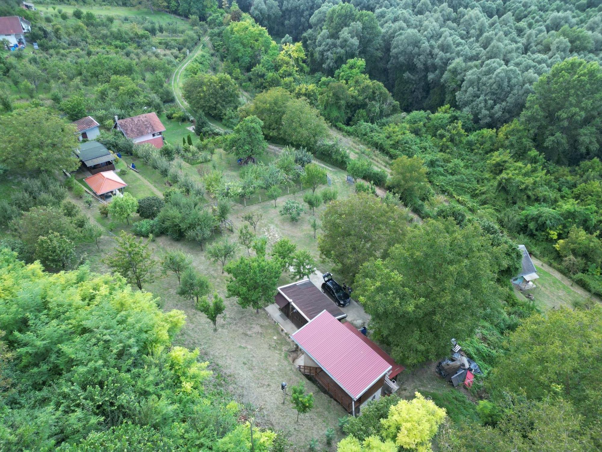 Odmor Za Dusu I Tijelo U Srcu Prirode Vila Aljmaš Exterior foto